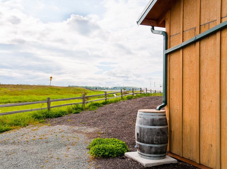 A rainwater collection barrel is designed to hold water from your gutter system so you can use it elsewhere, like a garden.