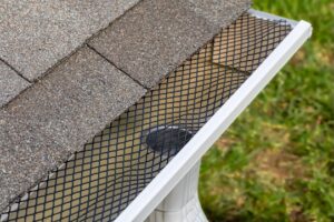 Screen gutter guards