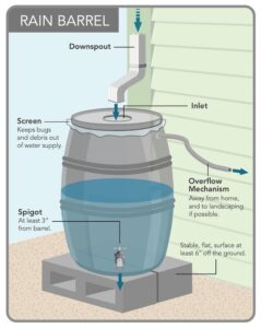 how rain barrels work