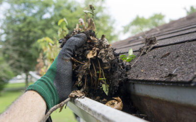 The Crucial Role of Gutter Cleaning