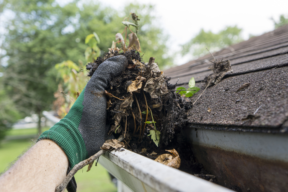 The Benefits Of Gutter Cleaning - Protect Your Home