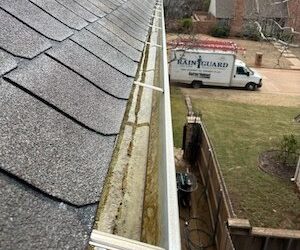 No Ladder? No Problem! Smarter Ways to Clean Your Gutters