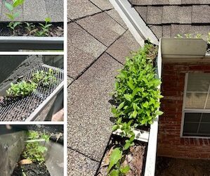 The Ultimate Guide to Gutter Damage Prevention