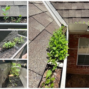 Preventing gutter damage can be made simple by doing a variety of things in order to keep them clean and well maintained.