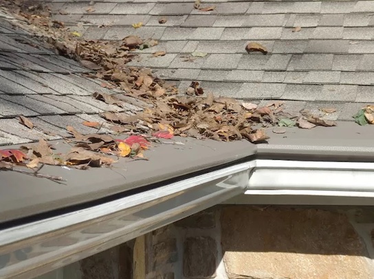 There are a variety of types of gutter guards including: brush guards, foam inserts, PVC covers, mesh and micro-mesh screens.