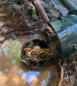 A French drain uses a perforated pipe in a gravel trench to redirect groundwater away from a home or building’s foundation.
