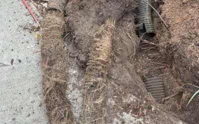 French Drain Repair: Why This Backbreaking Project Demands Professional Expertise